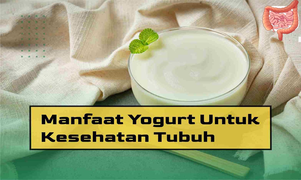 Manfaat Yogurt untuk Kesehatan Usus